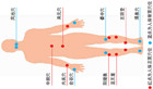 人体常用穴位位置图及作用与好处